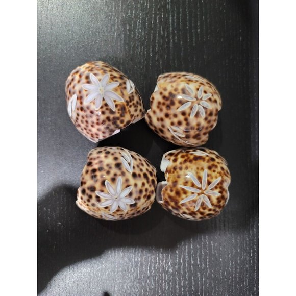 4 Spotted Tiger Cowrie Sea Shell Napkin Rings Holders Hand Carved Natural Shell - Picture 1 of 6